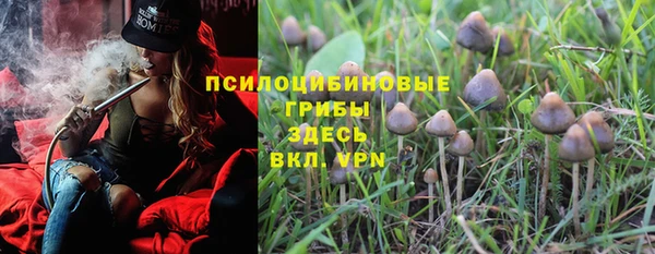 spice Белоозёрский