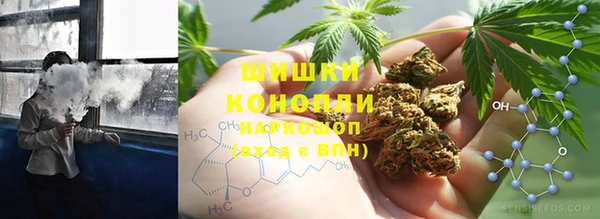 крисы Белокуриха