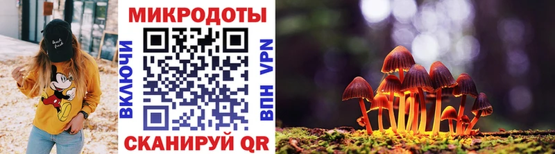 Псилоцибиновые грибы мицелий даркнет телеграм Кольчугино купить сайты
