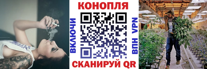 ОМГ ОМГ ТОР  сколько стоит  shop официальный сайт  Бошки Шишки Bruce Banner  Кольчугино 